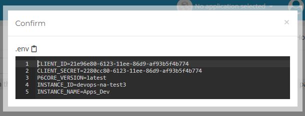 Display the .env instance file