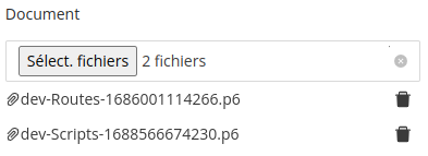 Widget p6File (multiple)