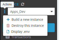 Build and Delete instances